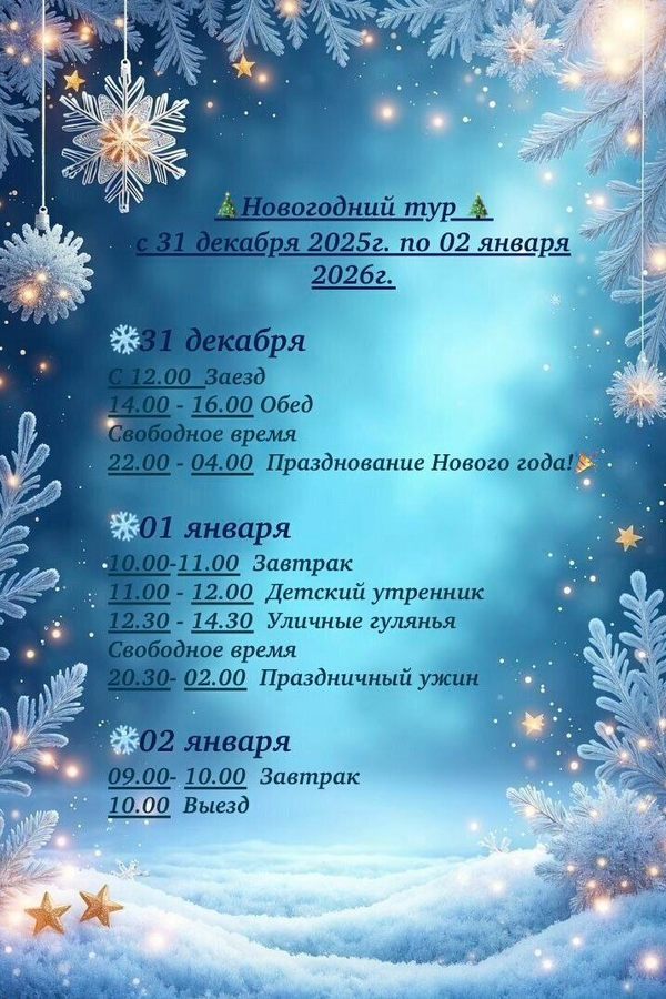 Новогодний тур