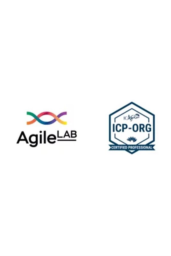 Adaptive Org Design (ICP-ORG) | Live Online Training