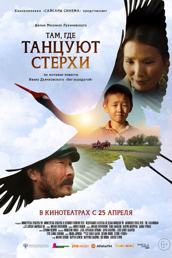 Конкурс игрового кино. Там, где танцуют стерхи