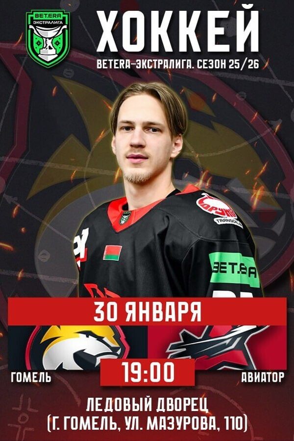 Гомель — Авиатор