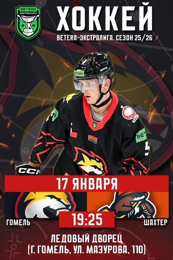 Гомель — Шахтер