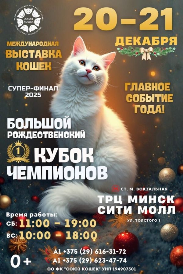 Международная выставка кошек «Большой Рождественский кубок Чемпионов». Супер-финал 2025