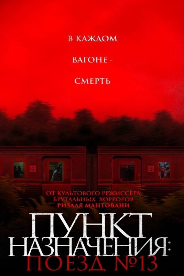 Пункт назначения: Поезд № 13