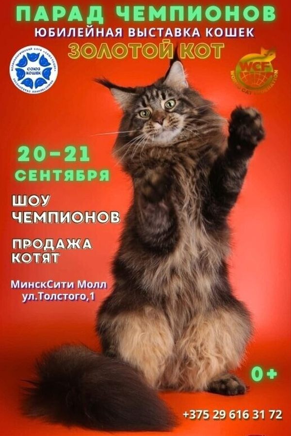 Международная выставка кошек. Парад чемпионов «Золотой кот»