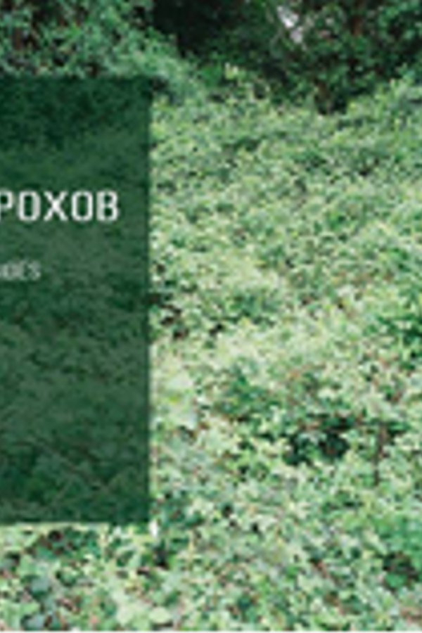 Артем Дорохов