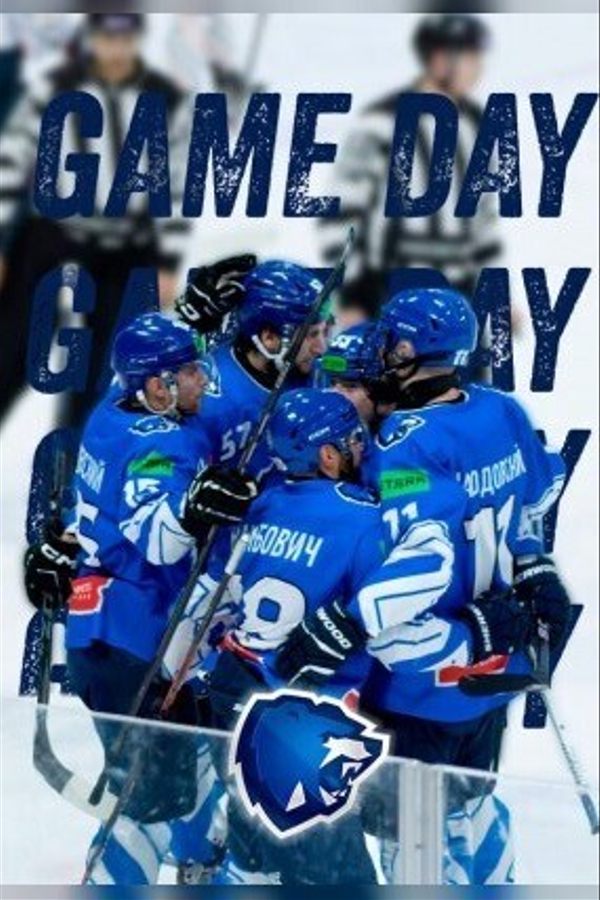 Хоккейный матч «‎Добрый лед»