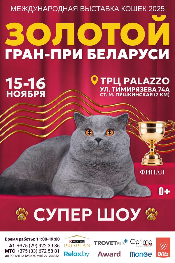 Золотой Гран-При Беларуси — 2025! Международная выставка кошек