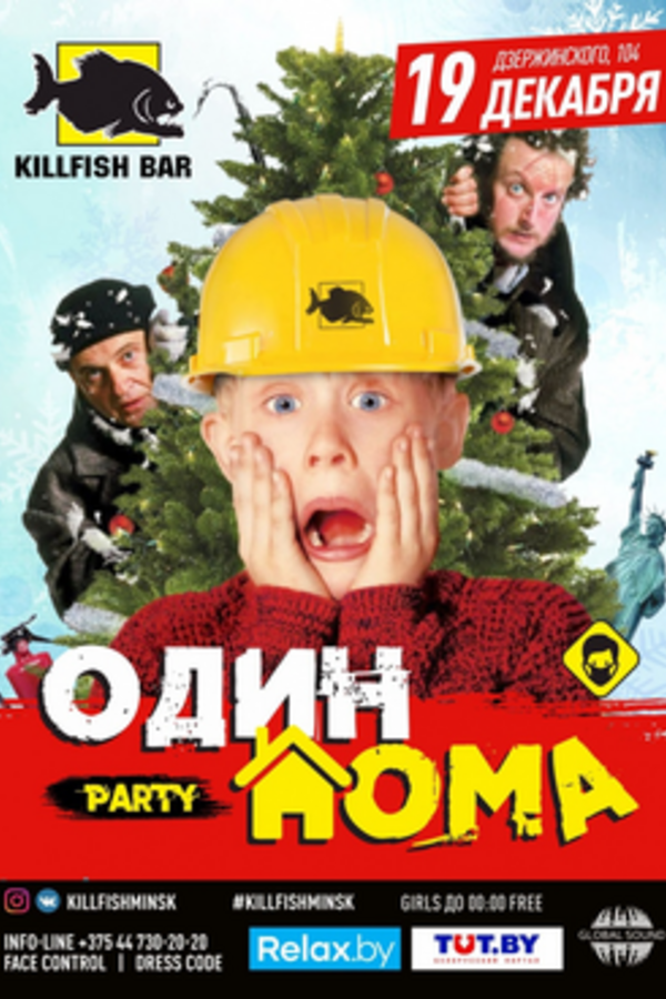 Один дома party