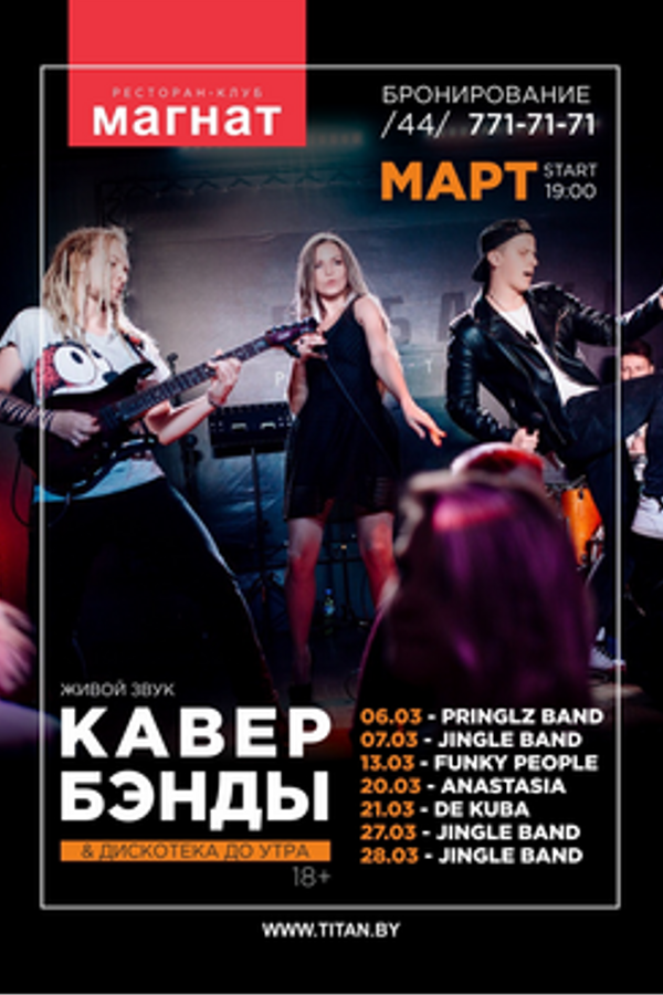 Концерт кавер-группы Pringlz band