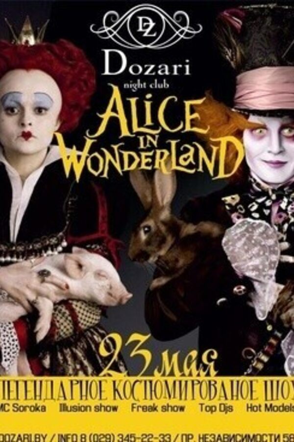 Alice in the wonderland