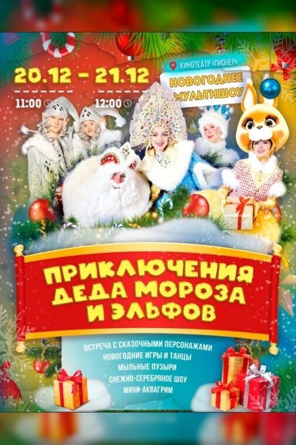 Новогоднее мультишоу «Приключения Деда Мороза и эльфов»