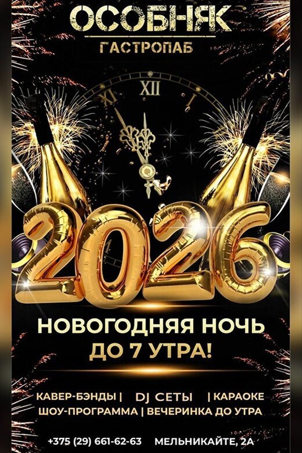 Новогодняя ночь в гастропабе-караоке «ОСОБНЯК»