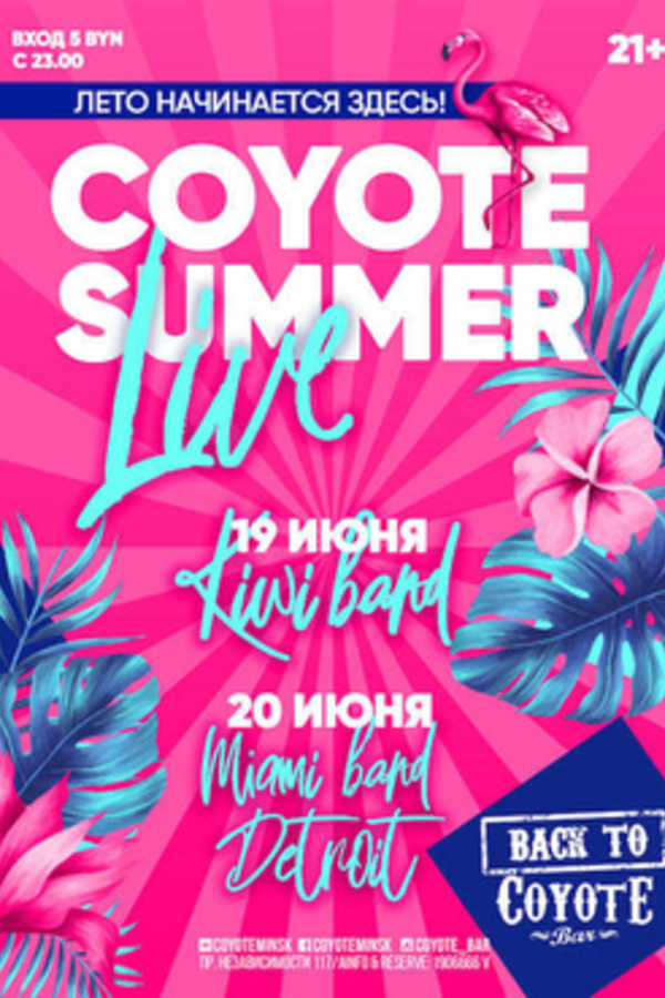 Coyote summer live