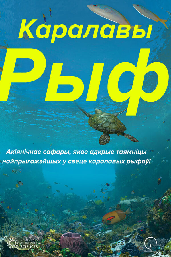 Каралавы рыф. Сферычнае кіно на роднай мове!