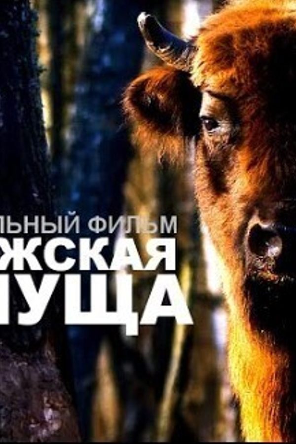 Беловежская пуща. Документальный фильм