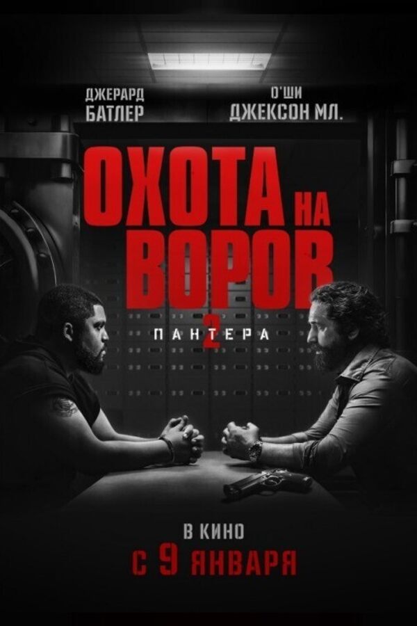 Охота на воров 2: Пантера