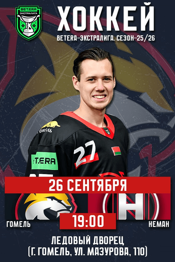 Гомель — Неман