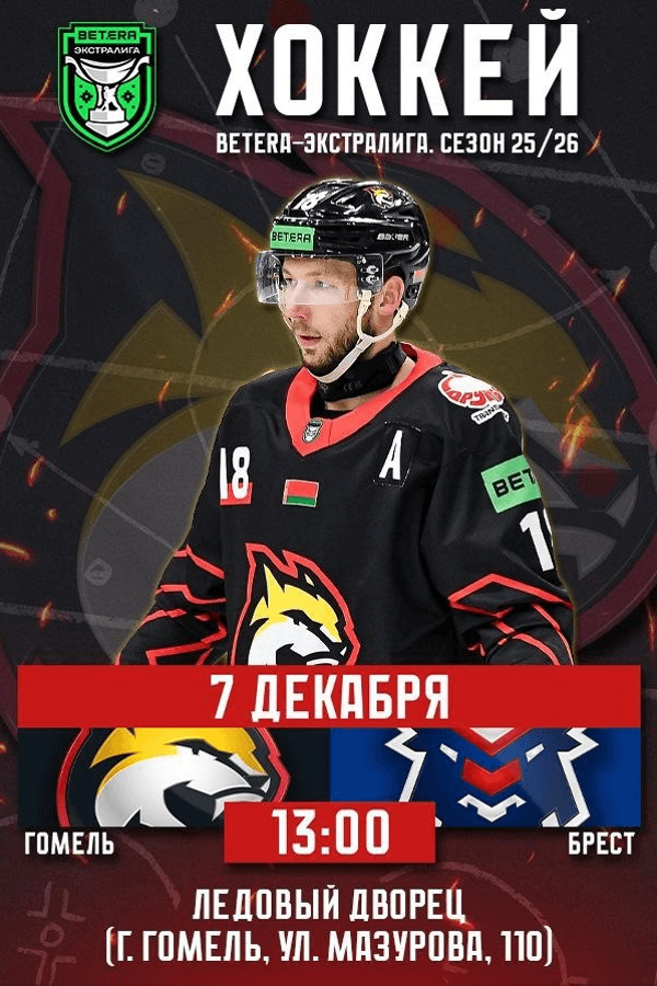 Гомель — Брест