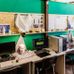FUNGI studio