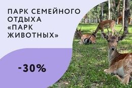 Скидка 30% на посещение парка в карнавальном костюме