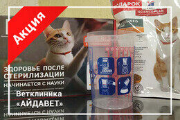 Акция «Корм Hill's для кошек после стерилизации в подарок»