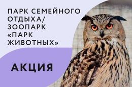 Акция «Подарки при участии в Колесо Фортуны»