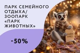 Скидка 50% на топ-активности в ноябре