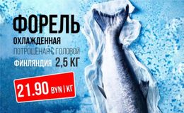 Акция «Форель охлажденная всего за 21,90 руб.»