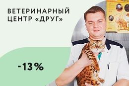 Скидка 13% на кастрацию котов