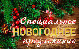 Новогоднее предложение: всего от 70 рублей на персону!