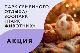 Акция «Купон в подарок для компаний от 5 человек»