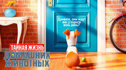 Акция «Билеты в кино от 1, 75 руб»