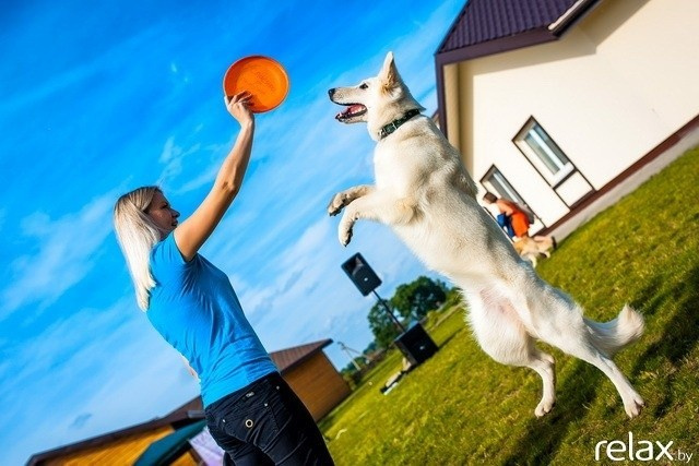 5 Лет журналу Pingouin, фото № 230