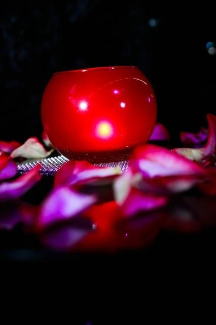 Звездная пятница, фото № 9