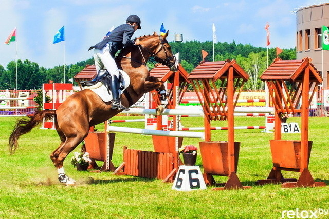 Международные соревнования по троеборью, фото № 117