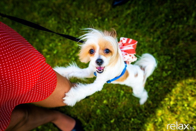 5 Лет журналу Pingouin, фото № 215