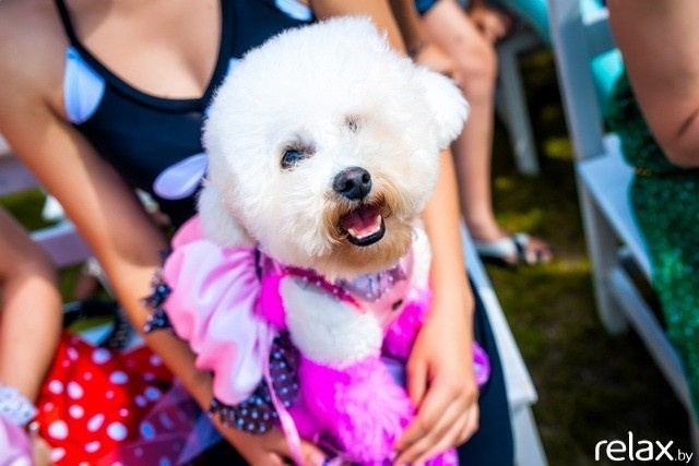 5 Лет журналу Pingouin, фото № 121