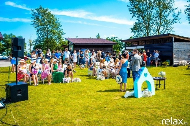 5 Лет журналу Pingouin, фото № 73