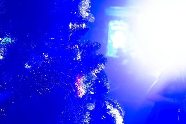 День рождения Ольги Галыгиной в Богеме, фото № 15