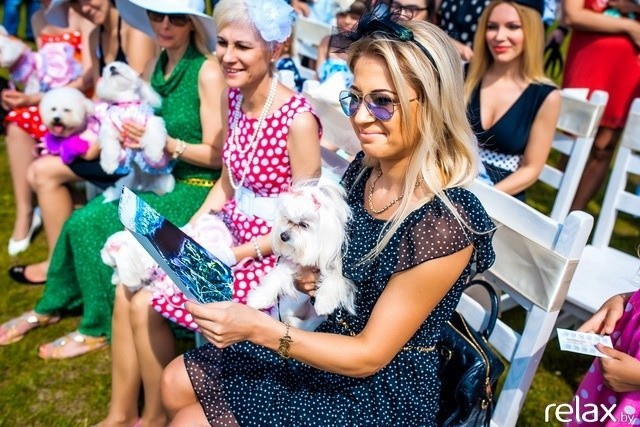 5 Лет журналу Pingouin, фото № 109