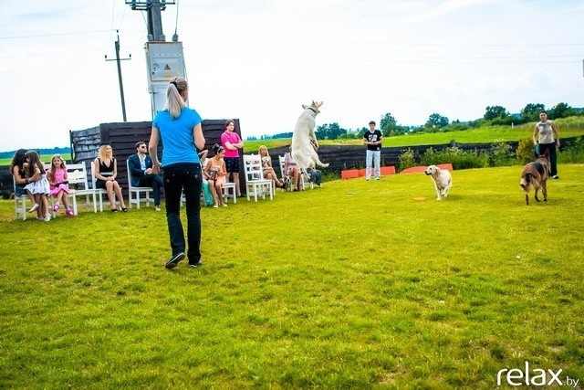 5 Лет журналу Pingouin, фото № 204