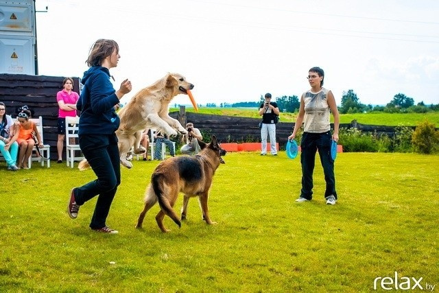 5 Лет журналу Pingouin, фото № 206