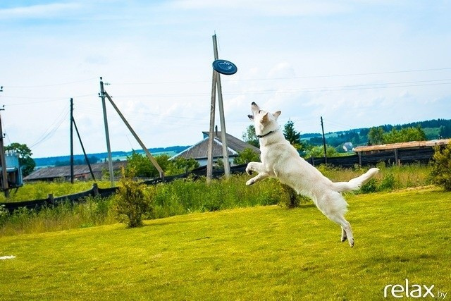 5 Лет журналу Pingouin, фото № 200