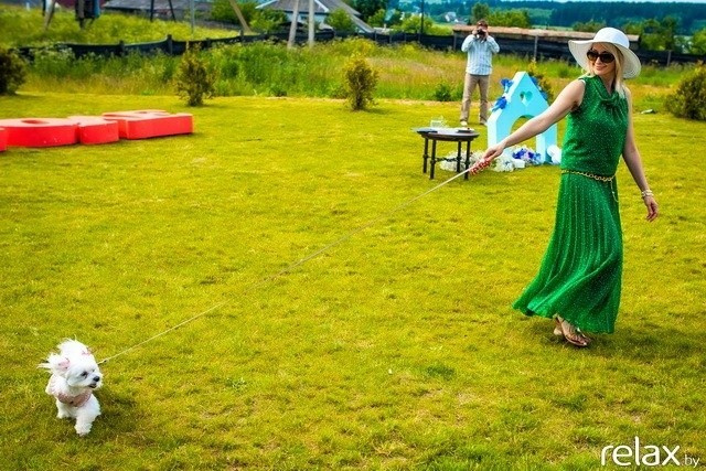 5 Лет журналу Pingouin, фото № 191