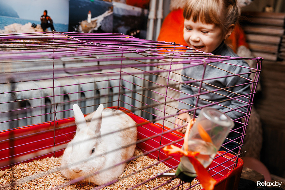 50 лучших фото октября, фото № 31