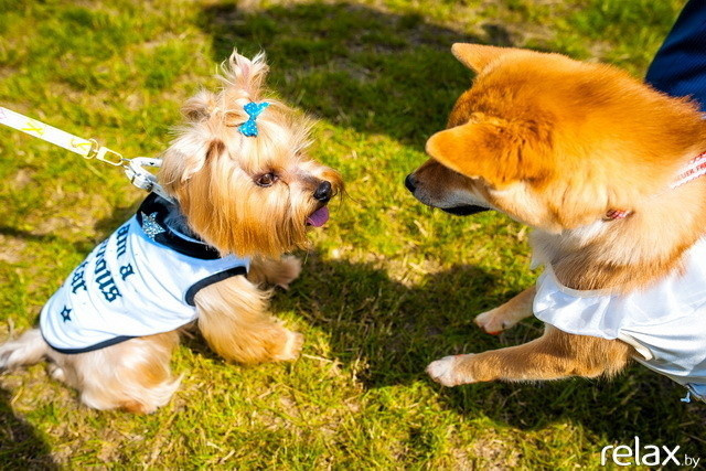 5 Лет журналу Pingouin, фото № 156