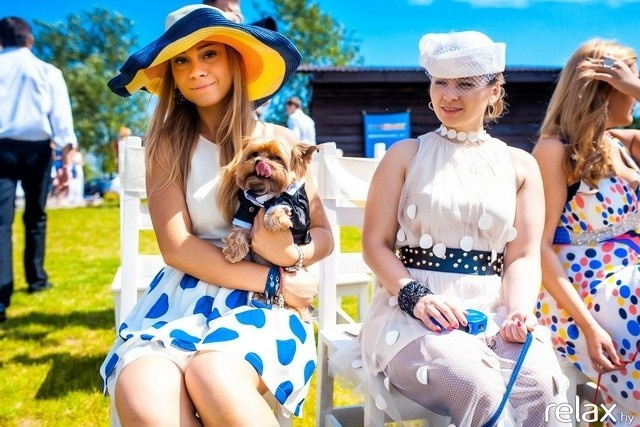 5 Лет журналу Pingouin, фото № 34