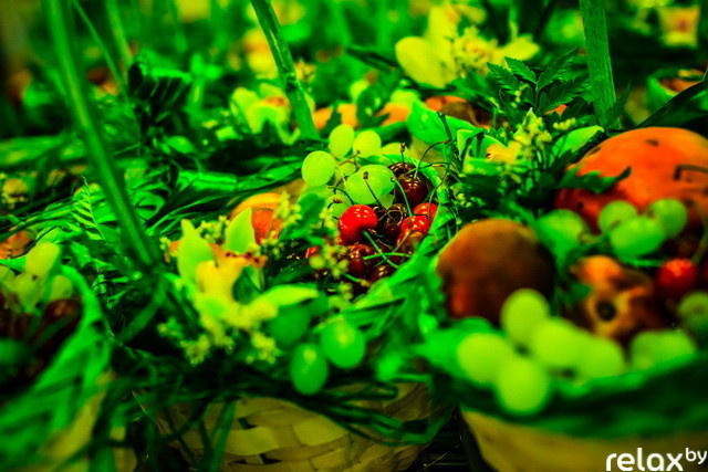 «Родная сторона» открытие, фото № 4