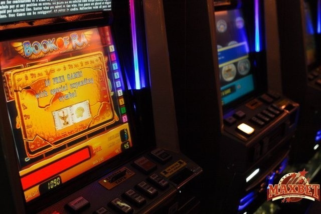 Большая Гонка Синий Финал, фото № 25