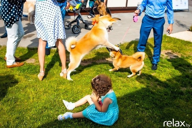 5 Лет журналу Pingouin, фото № 208